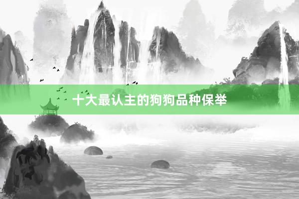 十大最认主的狗狗品种保举